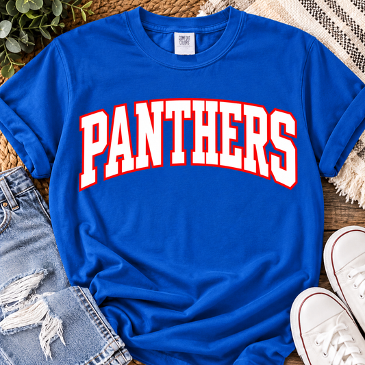 Panthers Varsity Graphic Shirt